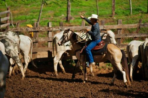 Hacienda Sassenberg Hacienda Sassenberg