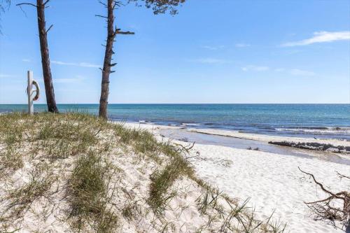 2637-Nexo-Fjaelstaunijn-8 in Snogebaek