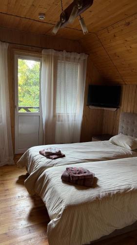 Під Лісом Pid Lisom, Schidnycja (fotografie 8)