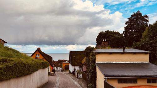 Apkārtne, Frisch Saniert Ferienhaus Achterland - Strand, Sauna, Kamin, WLAN und ein großer Garten in Kamminke