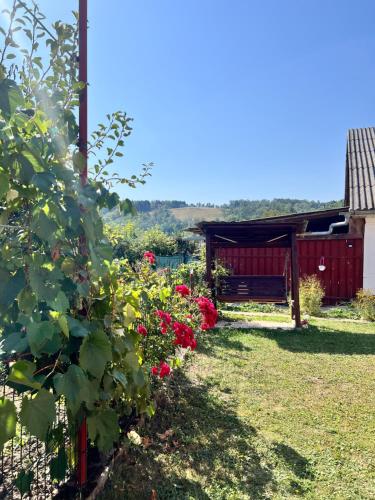 Apkārtne, Cozy, country house in Soveja