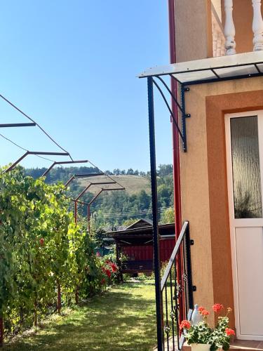Viesnīcas āriene, Cozy, country house in Soveja
