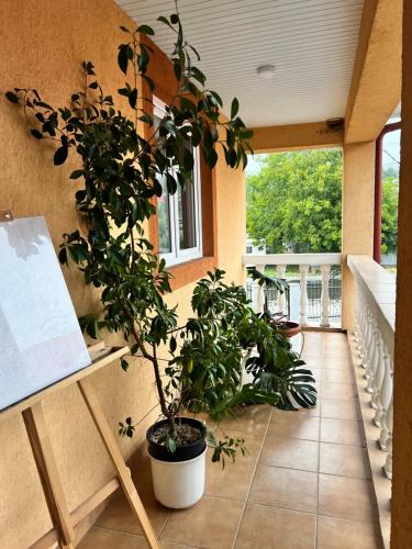 Balkons/terase, Cozy, country house in Soveja