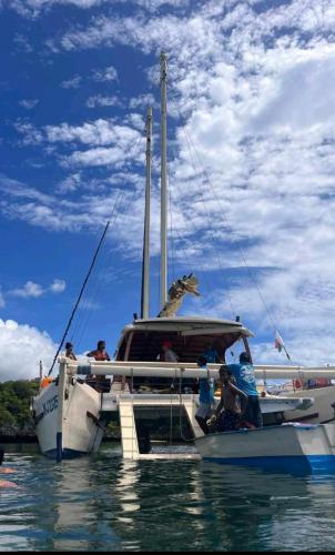 Catamaran CIELAZULA, Махадзанга