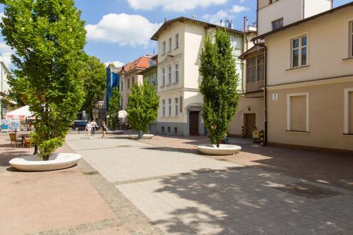 Sopot Point - main image