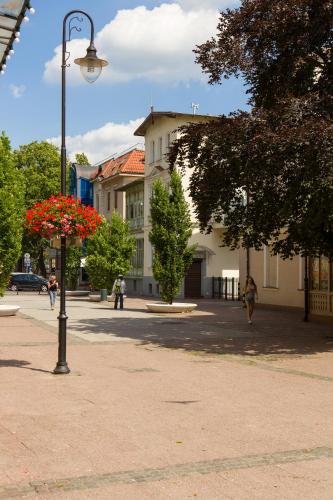 Sopot Point - image 14