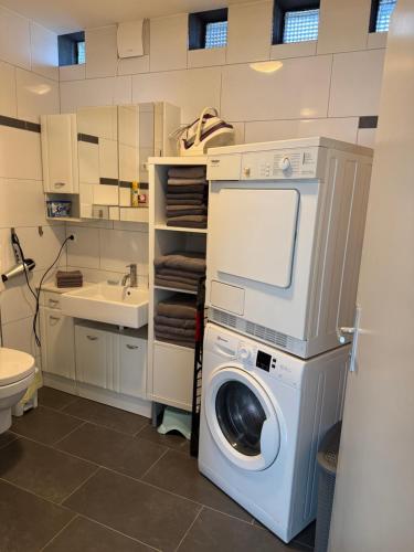 GraueMaus in Bruchhausen-Vilsen