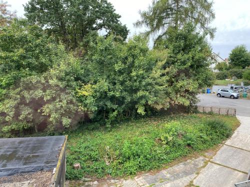 Alida 2 in เฮล์มชเต็ดท์