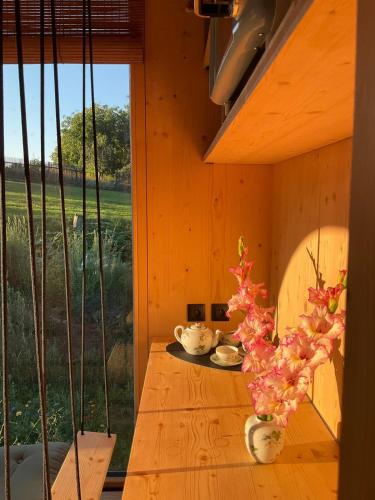 Zenbox Satori - the place to ease your mind in Manetin