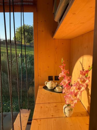 Zenbox Satori - the place to ease your mind in Manetin