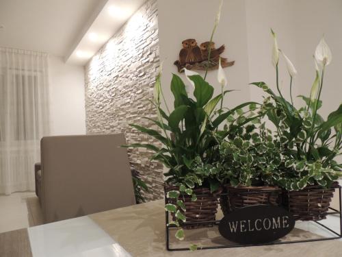 Appartamenti Casa Prandel in Levico Terme