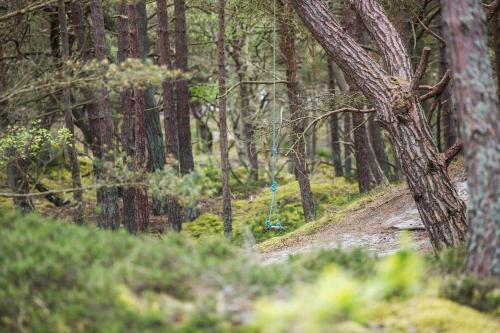 2714-Nexo-Jomfrustien-4 in Snogebaek