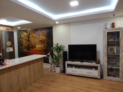 Ciudad y Mar - Piso luminoso y céntrico (Ciudad y Mar - Piso luminoso y centrico) in El Diezmo