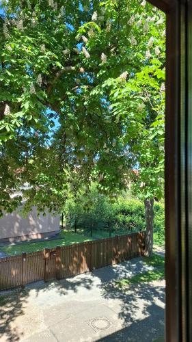 Ümbrus, Gemütliches 1-Zimmer-Appartment mit Balkon (Gemutliches 1-Zimmer-Appartment mit Balkon) in Markkleeberg