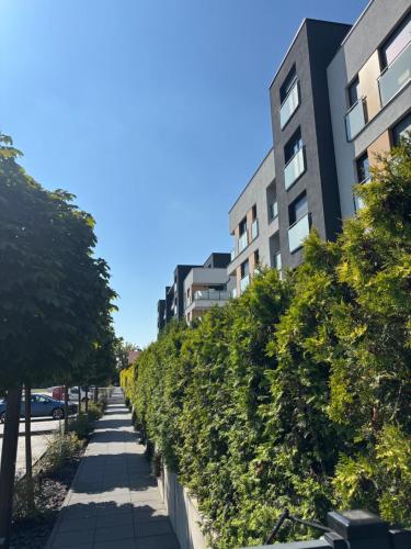 Apartament Slowackiego Park - Gliwice