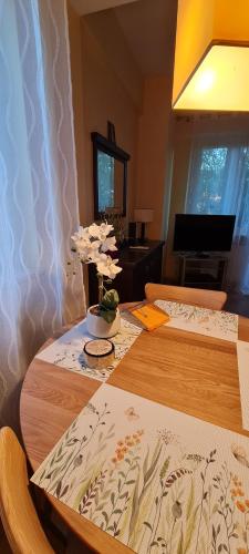 Apartament w Centrum