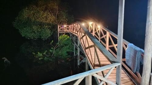 Amazon Private Tours Jungle Lodge