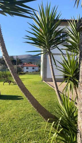 Cantinho do Minho - Ponte de Lima gîte à louer Fontão