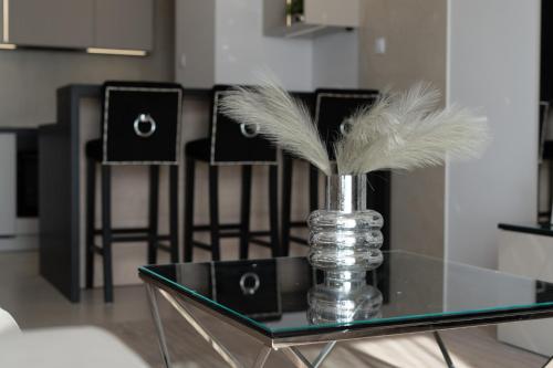 Crystal Luxury Apartments Rakowicka, Cracovia (foto 7)