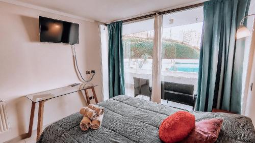 Beautiful apartment near Concon Dunes