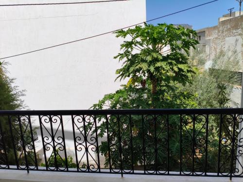 Dari, Sousse (photo 9)
