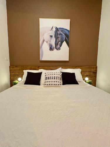 Hostel of Santurce in San Juan