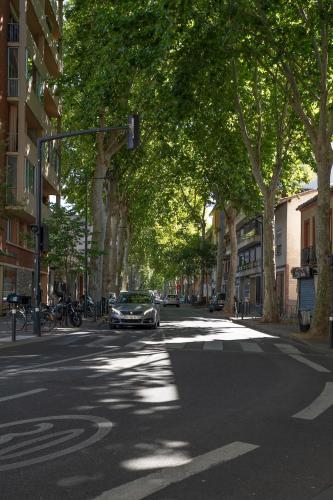 Le Duplex - Studio charmant en centre-ville, Toulouse (foto 8)