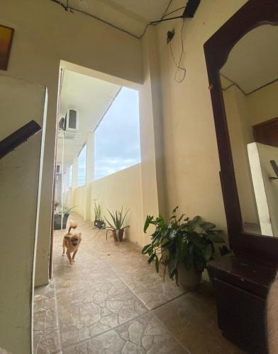 Habitaciones Guadalupe