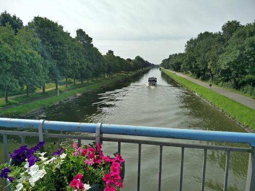 de twie keuninge - image 11