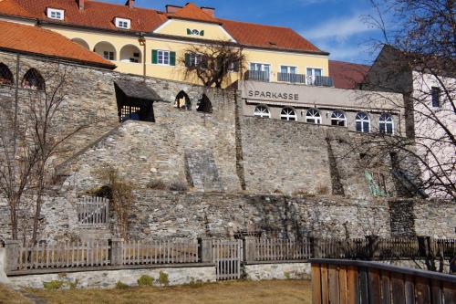 Hotel Alpin Murau - image 8