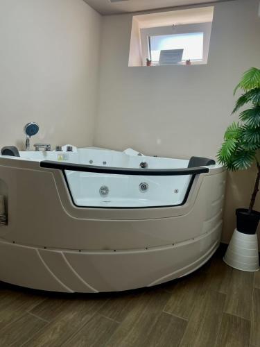 Pezsgőfürdő, Jacuzzi Apartman PK Pančevo (Jacuzzi Apartman PK Pancevo) in Center