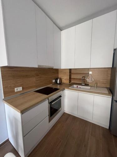 Ferit's Property Near Myslym Shyri, Tirana (foto 9)