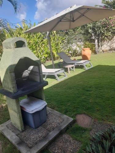 Le Jardin aux Oiseaux - Location saisonnière - Sainte-Anne