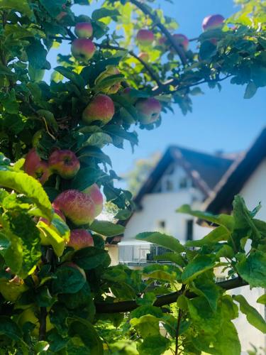 Suite Meeresrauschen in Lobbe, Deutschland