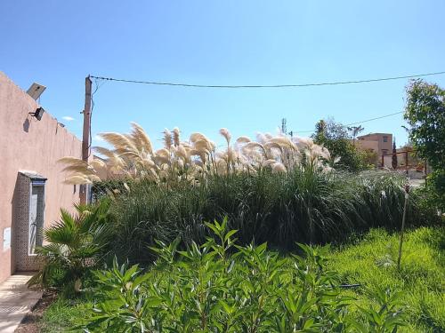 Tazouta Farm Villa with Private Pool & Mountain Views in Sefrou