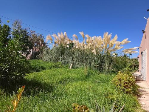 Tazouta Farm Villa with Private Pool & Mountain Views in Sefrou