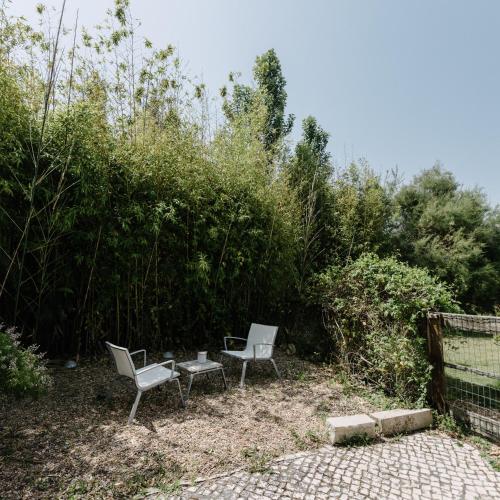Quinta Do Miguel - image 2