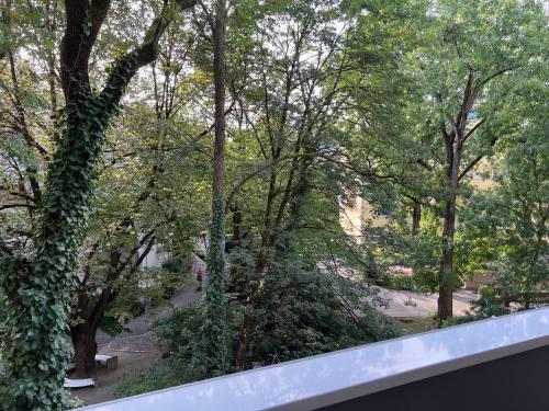 Julie's Place, Munich (photo 10)