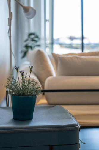 Absolute Waterfront Retreat in Barangaroo! - image 13
