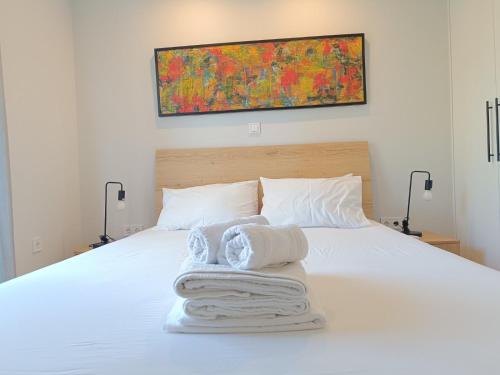 Twins Apartments - Panathinaia
