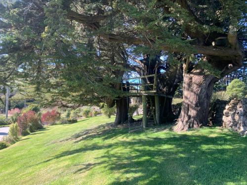 Garden, The Haven at Pukehiki in Macandrew Bay