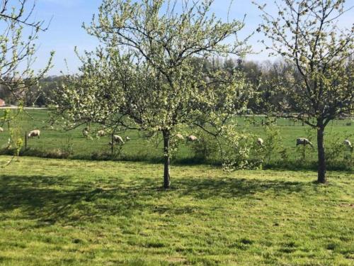 周邊環境, Glamping in Signy-l Abbaye in 希尼拉貝伊