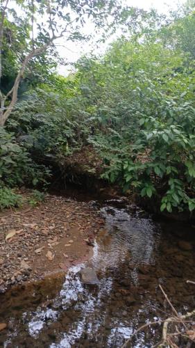 Beautiful country house