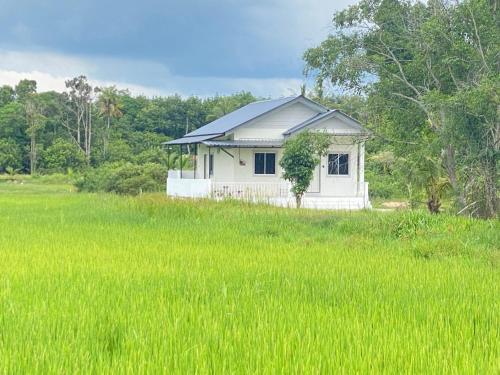 D'Bendang Homestay in ตุมปัต