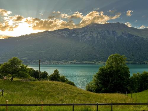 Lake View Chalet Mis in Iseltwald