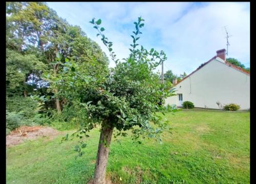 La maison de Francis in Genouillac (Limousin)