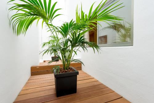 Hotel Florencio Ibiza - image 6