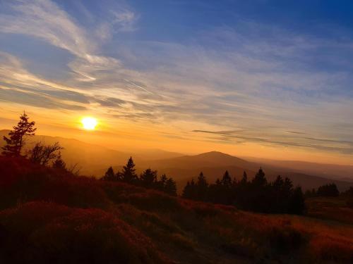 A környék, Ferienwohnung zur alten Schmiede in Arrach
