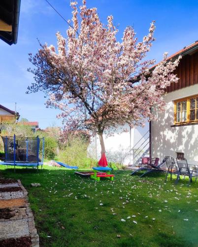 حديقة, Ferienwohnung zur alten Schmiede in آراش