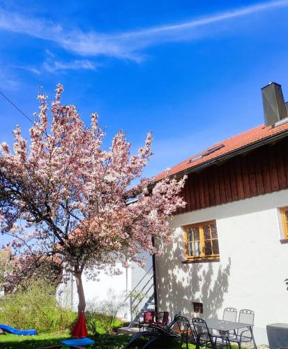 المنظر الخارجي, Ferienwohnung zur alten Schmiede in آراش